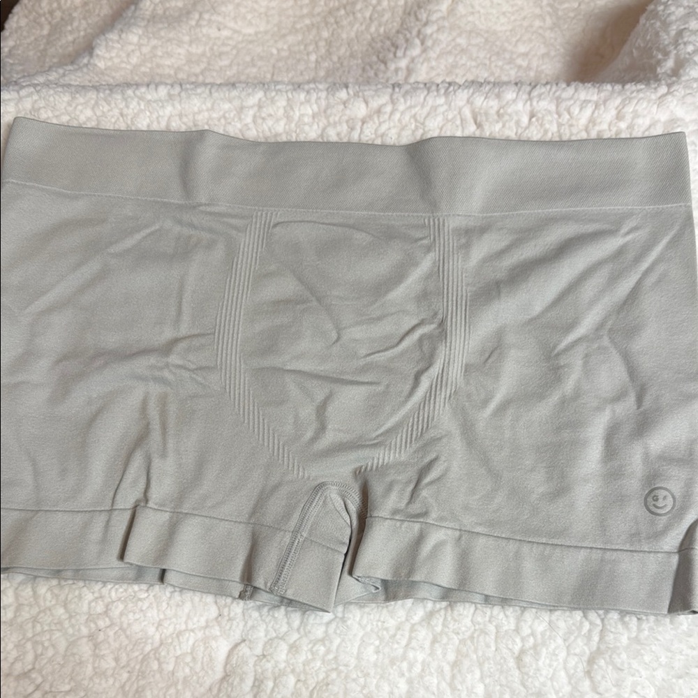 Hollister Gilly Hicks Gray Boxer Brief Trunk Underwear Large